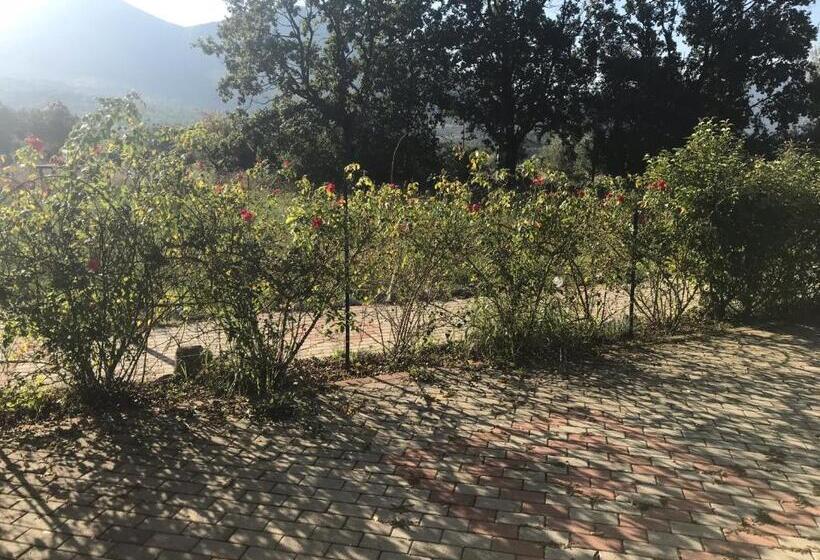 Bed and Breakfast Gelsomino