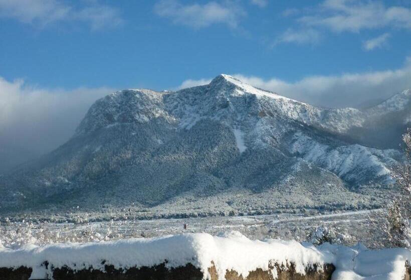 Bed and Breakfast Gelsomino