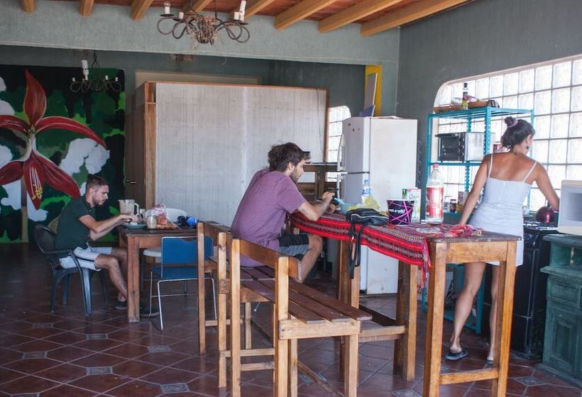 Hostel Enjoy Vallarta 19