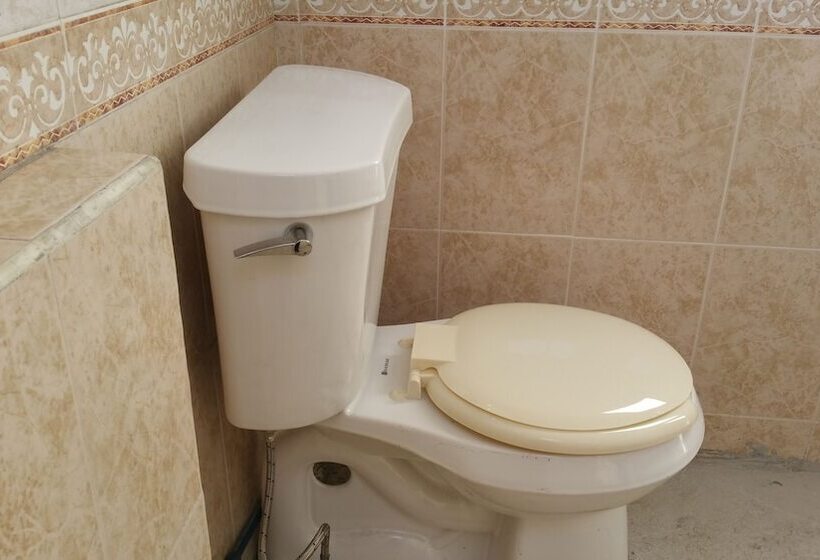 Hostel Enjoy Vallarta 19