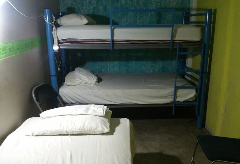 Hostel Enjoy Vallarta 19