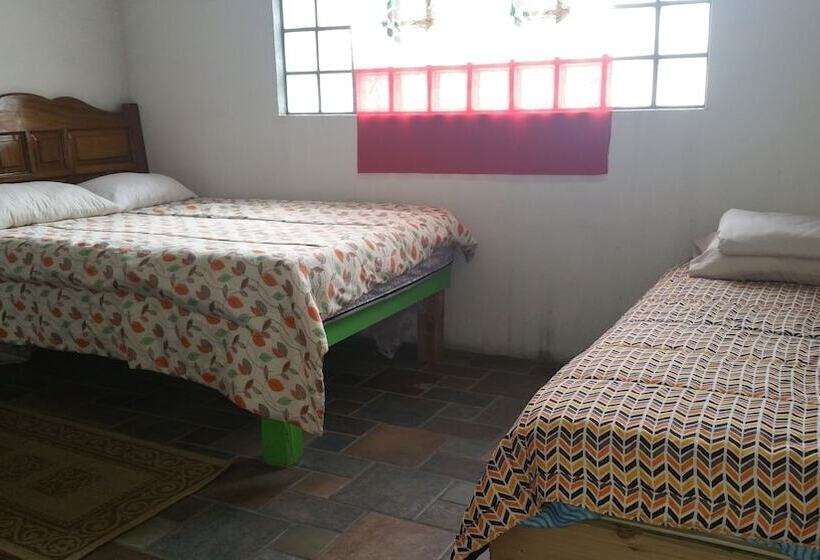 Hostel Enjoy Vallarta 19