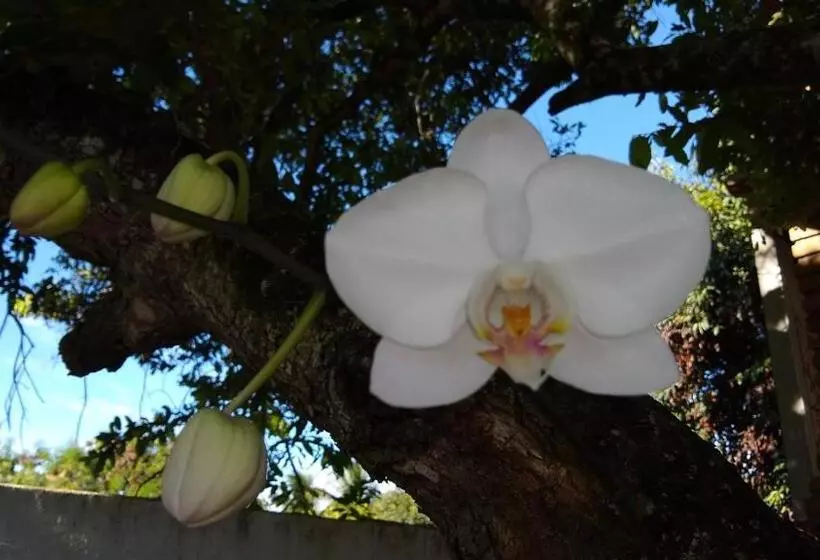 Majatalo Club Manguaba Beira Rio Mar