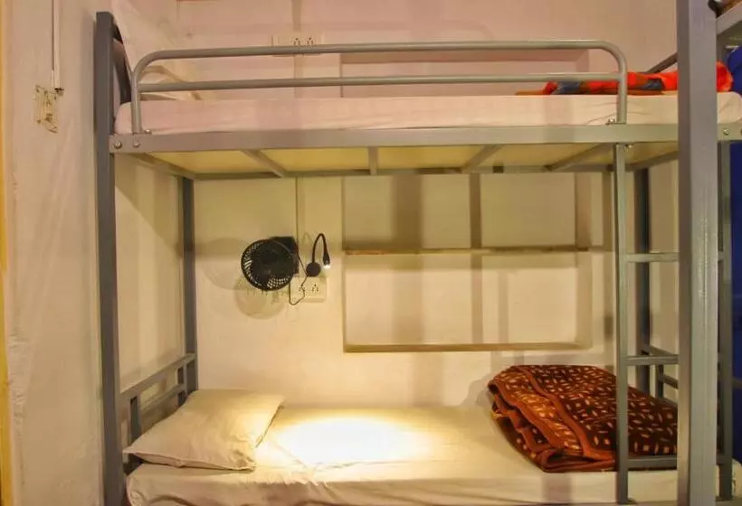 Trip In Hostel