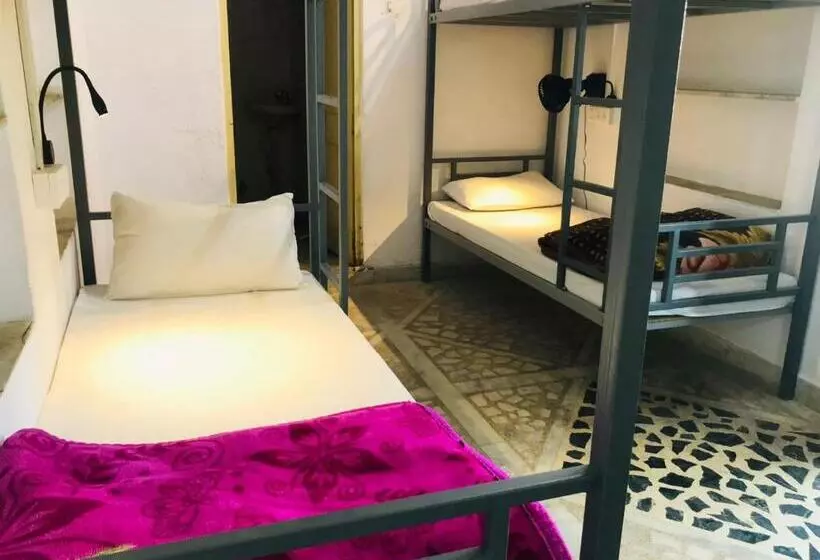Trip In Hostel