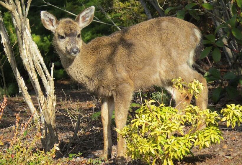 Szálloda Bethlehem Centre