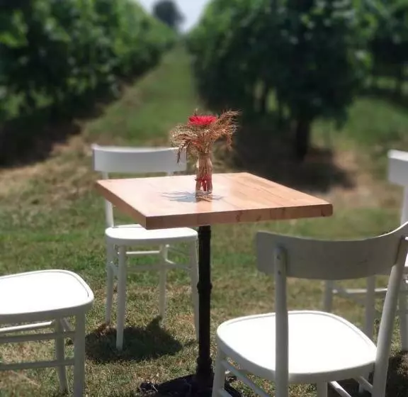 ホテル Agriturismo Vitae