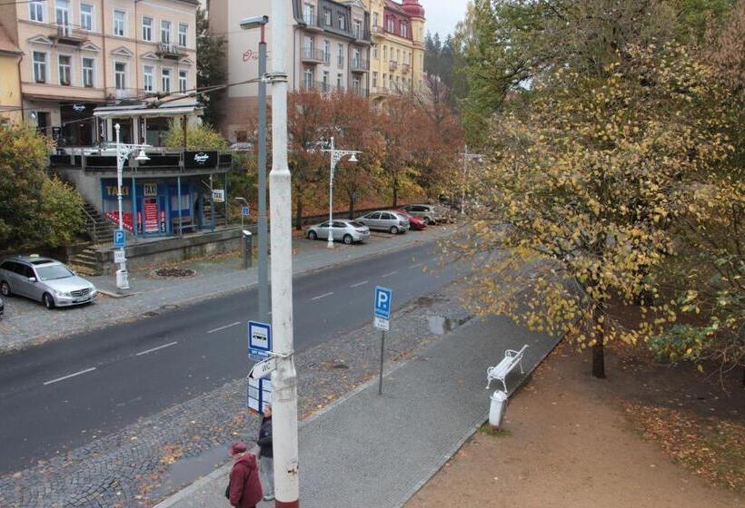 فندق صغير Penzion U Pidly