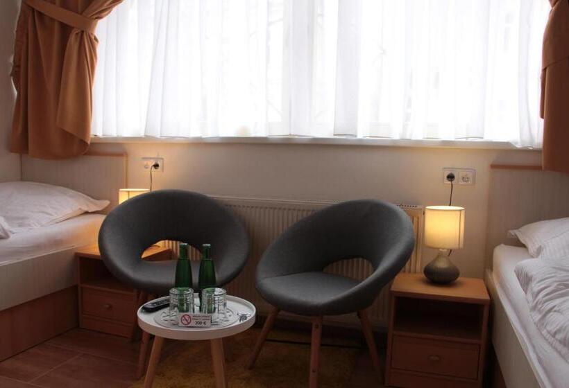 فندق صغير Penzion U Pidly