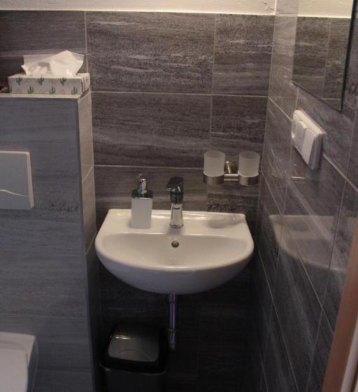 فندق صغير Penzion U Pidly