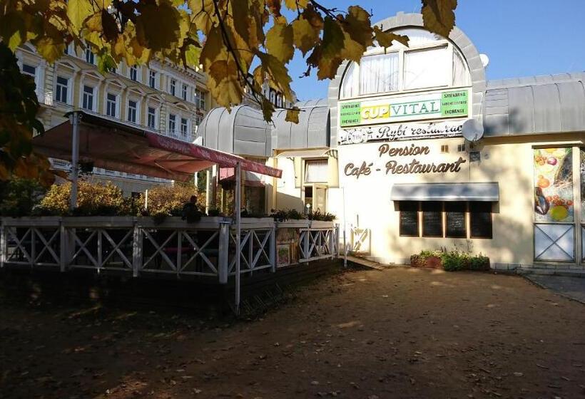 فندق صغير Penzion U Pidly