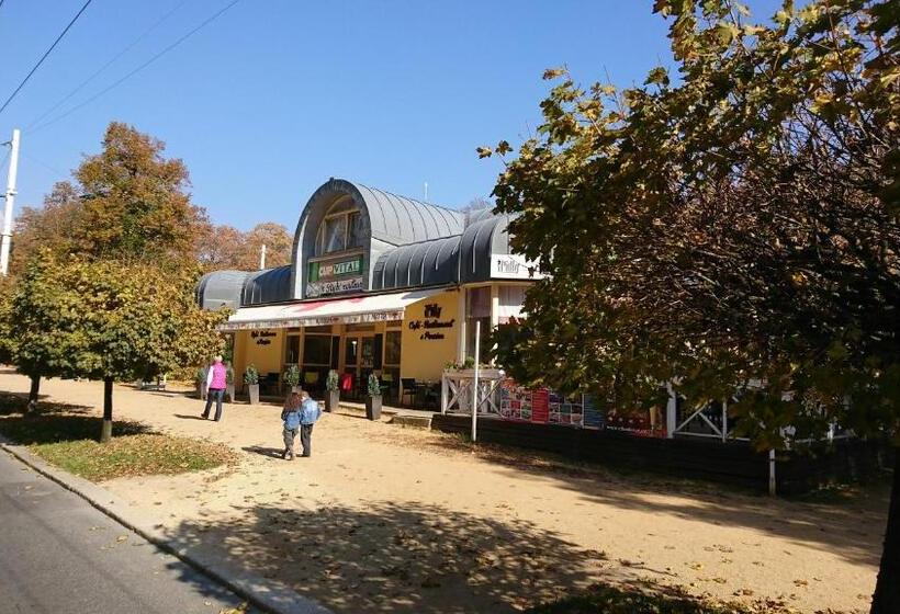 فندق صغير Penzion U Pidly