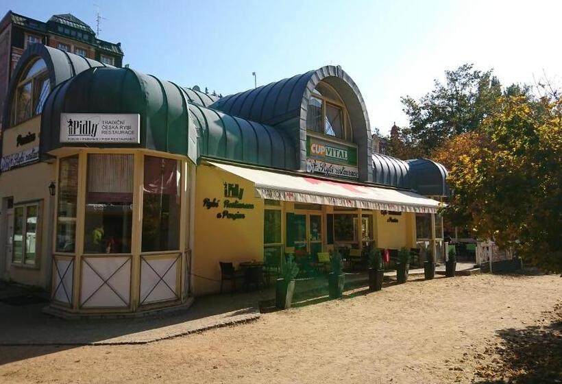 فندق صغير Penzion U Pidly