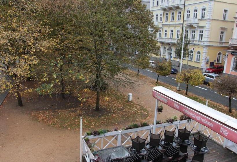 فندق صغير Penzion U Pidly