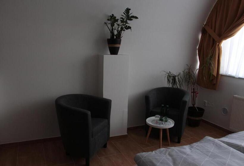 فندق صغير Penzion U Pidly