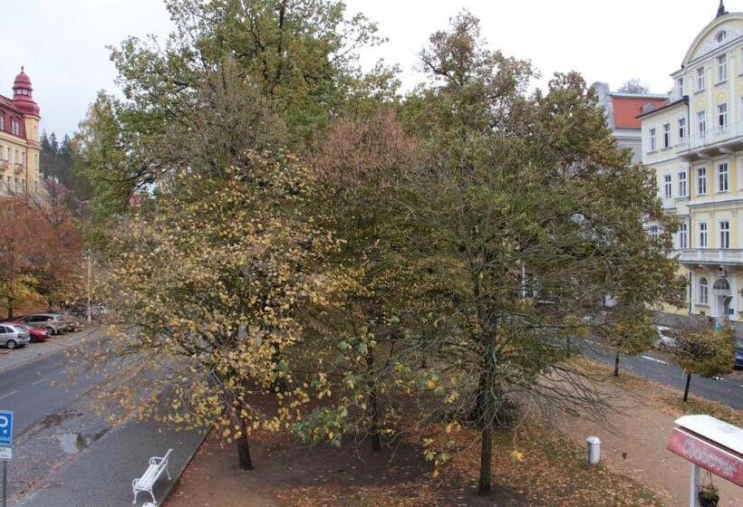 فندق صغير Penzion U Pidly