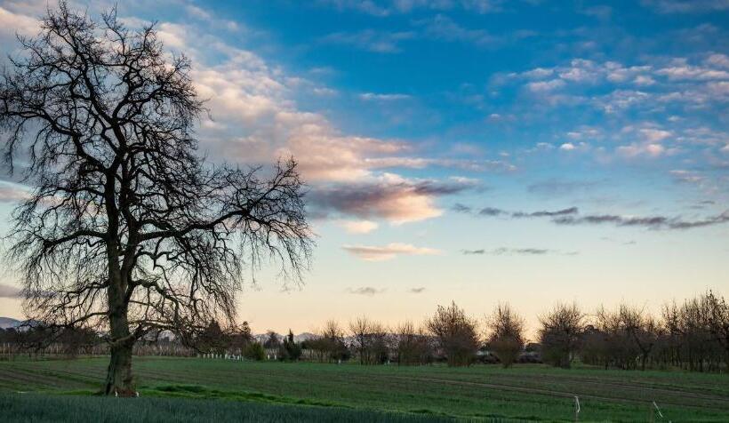 צימר River Road Retreat