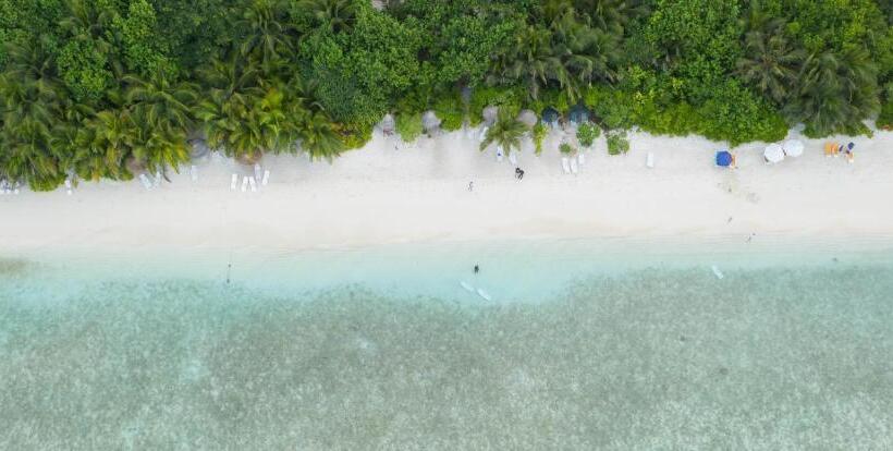 پانسیون Trip Villa