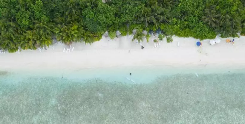 پانسیون Trip Villa