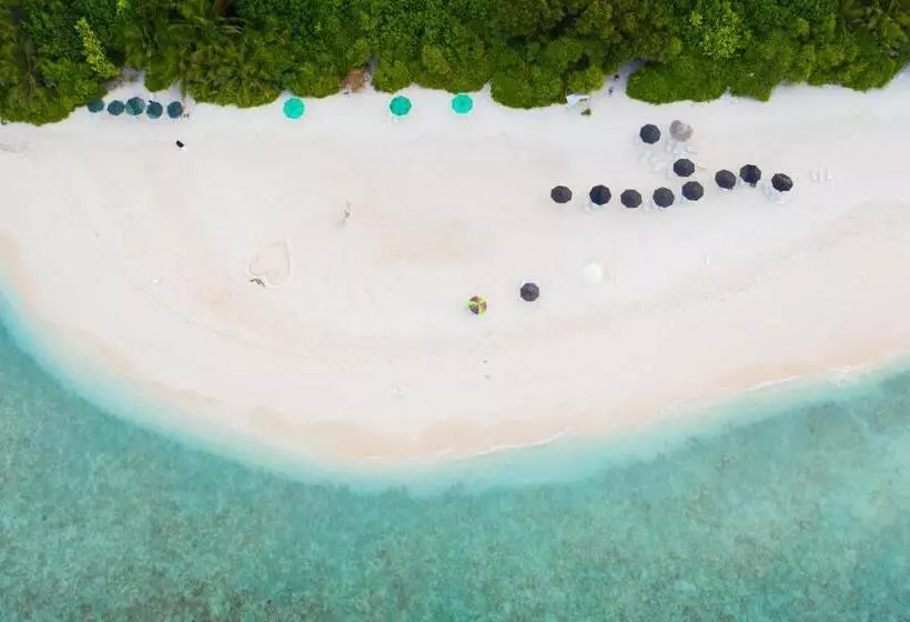 پانسیون Trip Villa