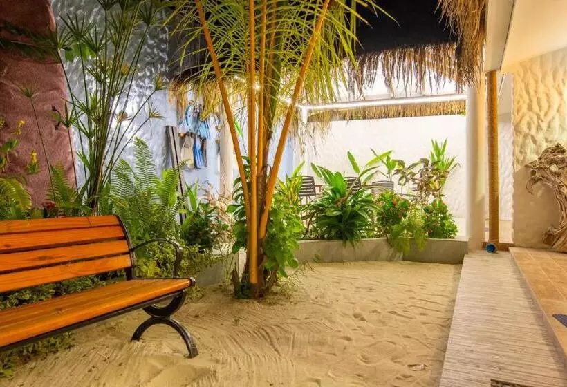 پانسیون Trip Villa