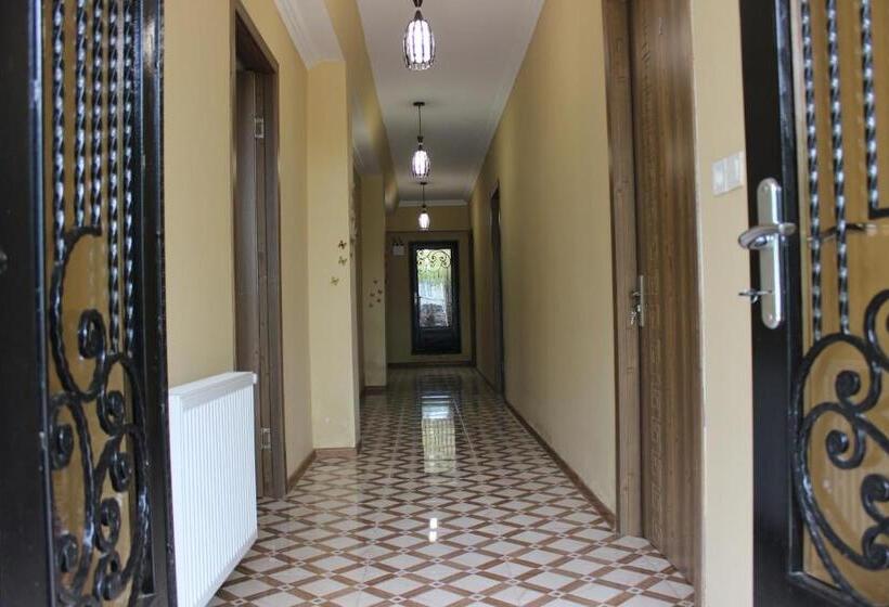 پانسیون Guest House Maspindzeli