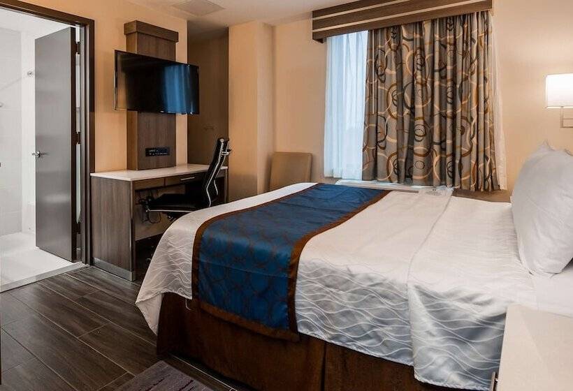 בית מלון כפרי Best Western Plus Stadium Inn