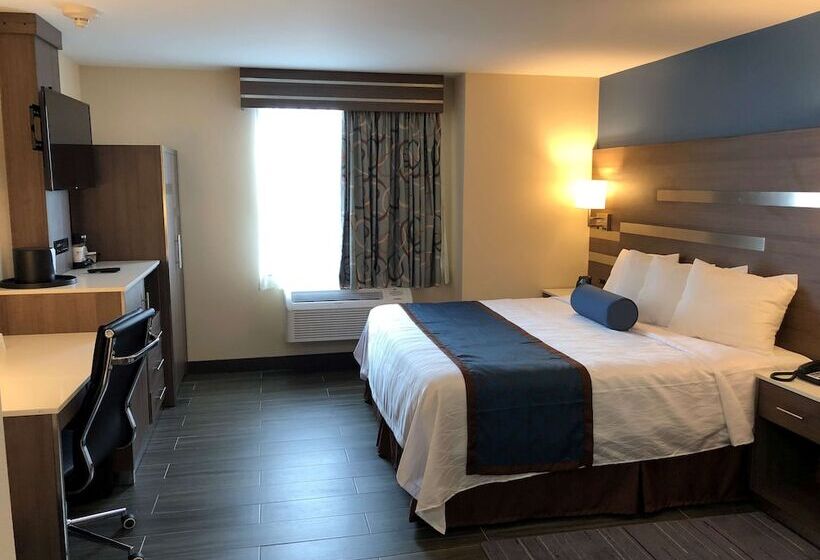 בית מלון כפרי Best Western Plus Stadium Inn