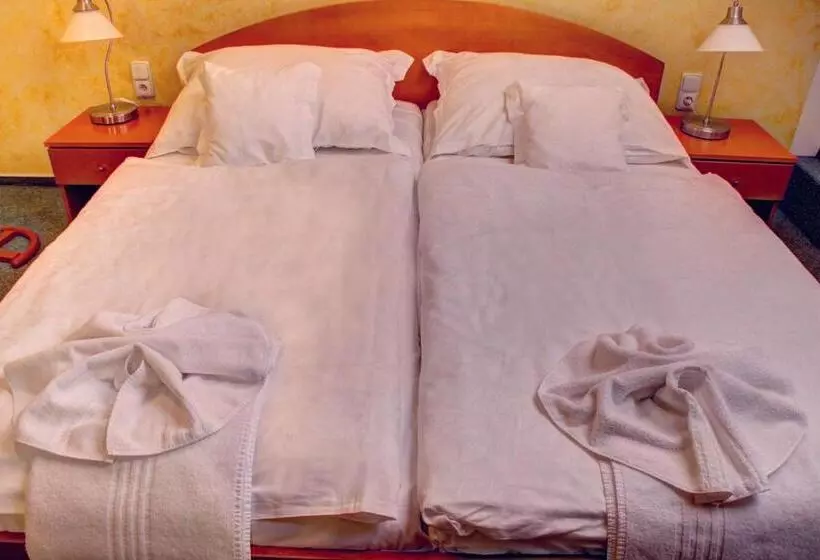 Birdie Pension & Wellness