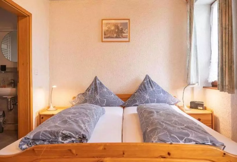 ユースホステル Gästehaus Kaltenbach