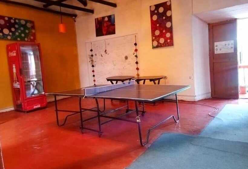 Bed and Breakfast Kokos House Hostel