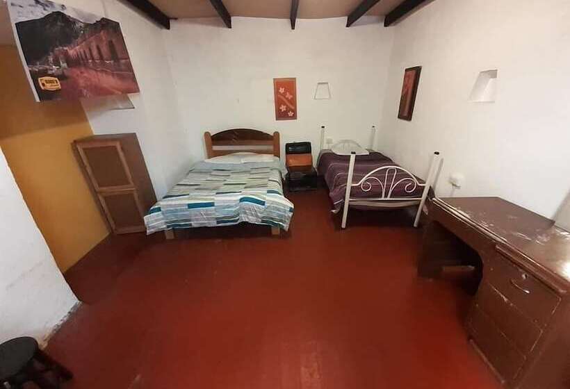 Bed and Breakfast Kokos House Hostel