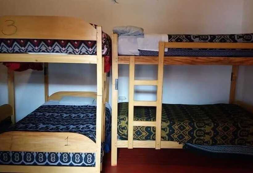 Bed and Breakfast Kokos House Hostel