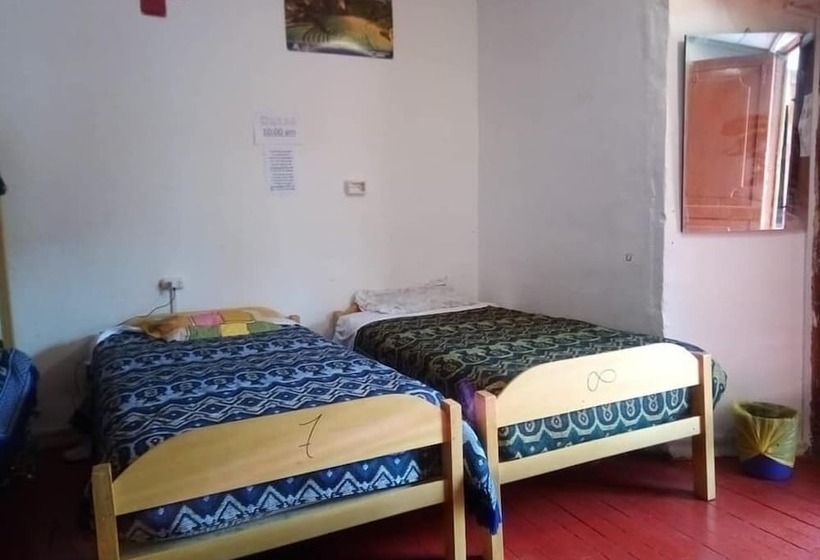 Bed and Breakfast Kokos House Hostel