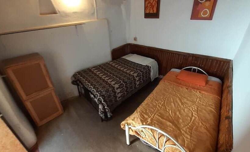 Bed and Breakfast Kokos House Hostel