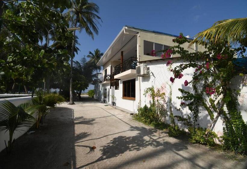 هاستل Surf Yoga Camp