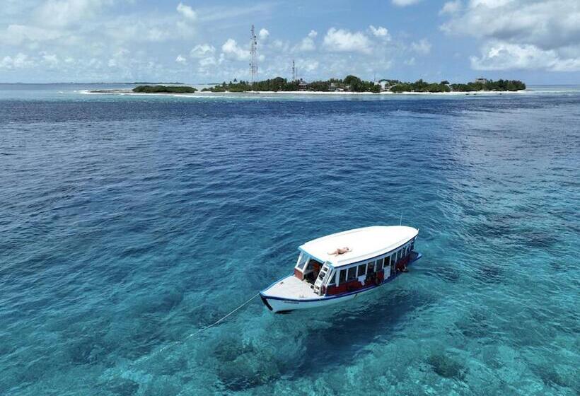 هاستل Surf Yoga Camp