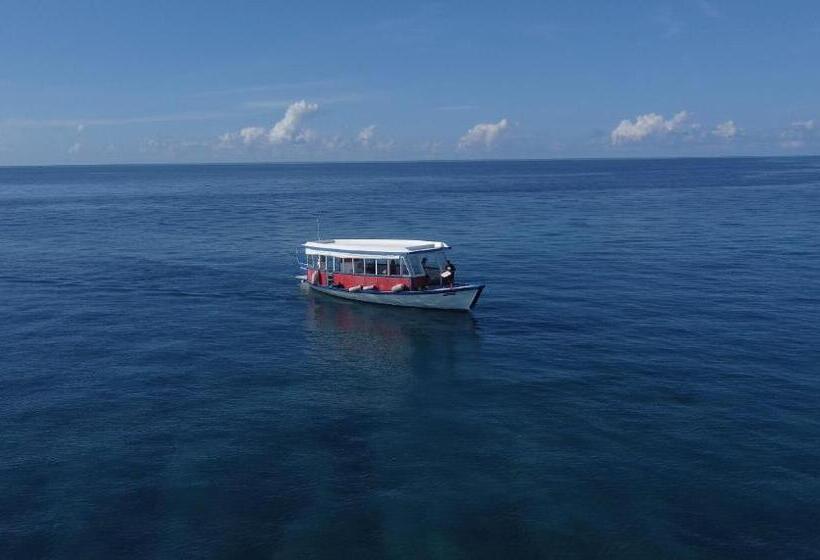 هاستل Surf Yoga Camp