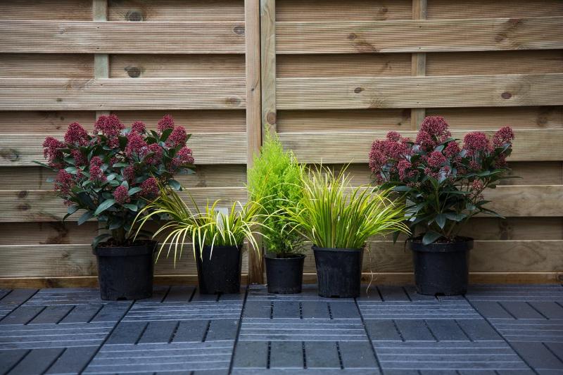 فندق The Bedford Townhouse