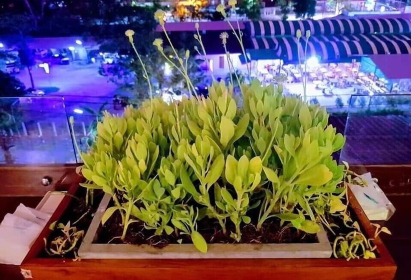 Отель Laekhon Nonbai