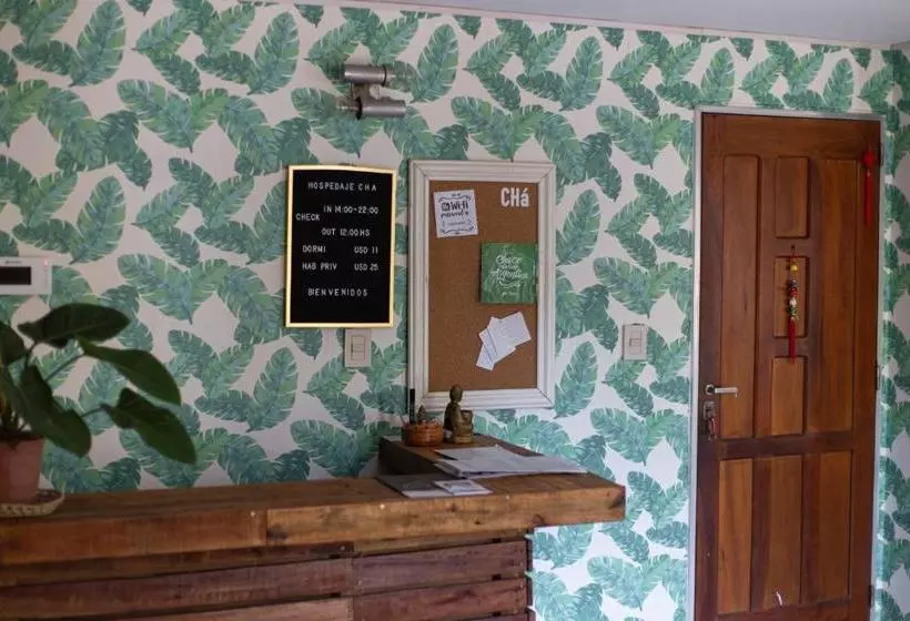 Bed & Breakfast Hostel Cha