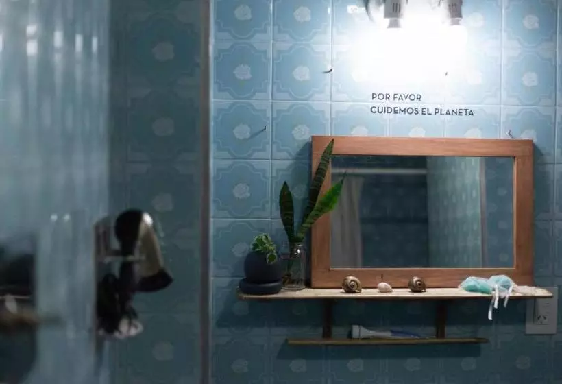 Bed & Breakfast Hostel Cha