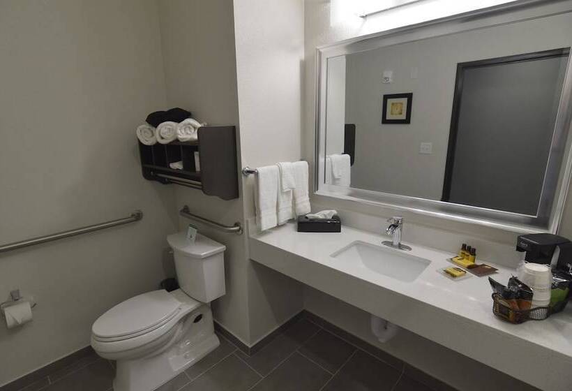 فندق Best Western Plus Waller