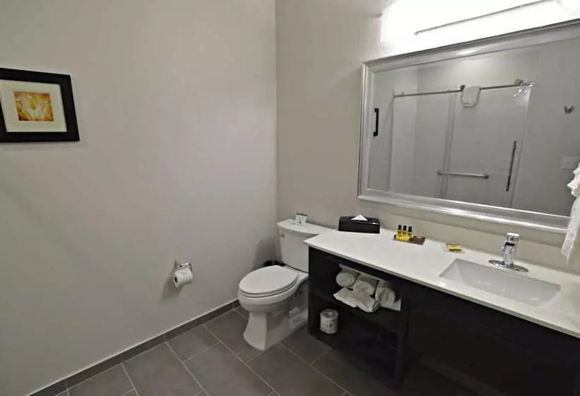 Hotelli Best Western Plus Waller