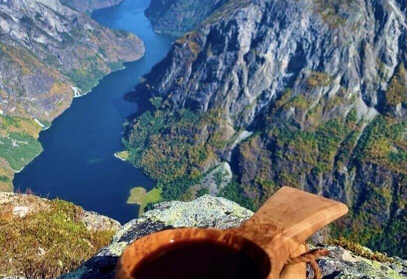 酒店 Gudvangen Budget