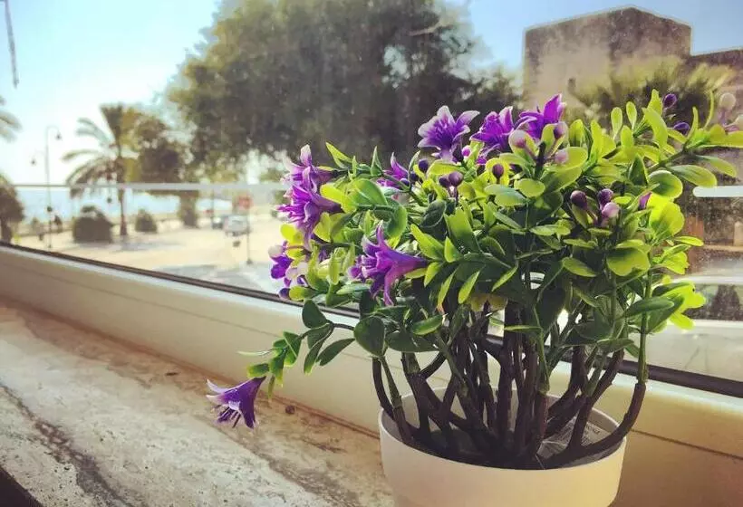 Majatalo Domus Bianca Lancia