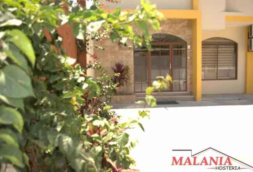 ペンション Hostal Malania
