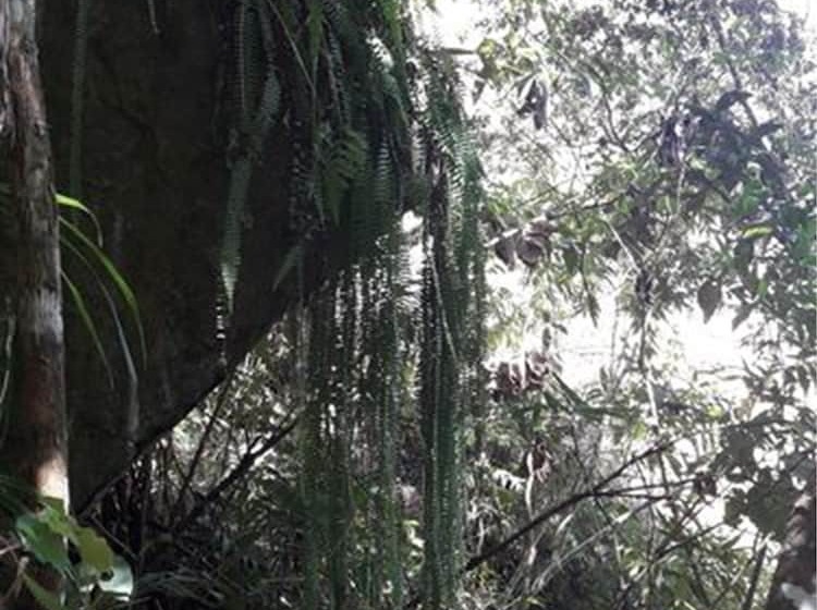 فندق Eco Hacienda Roman