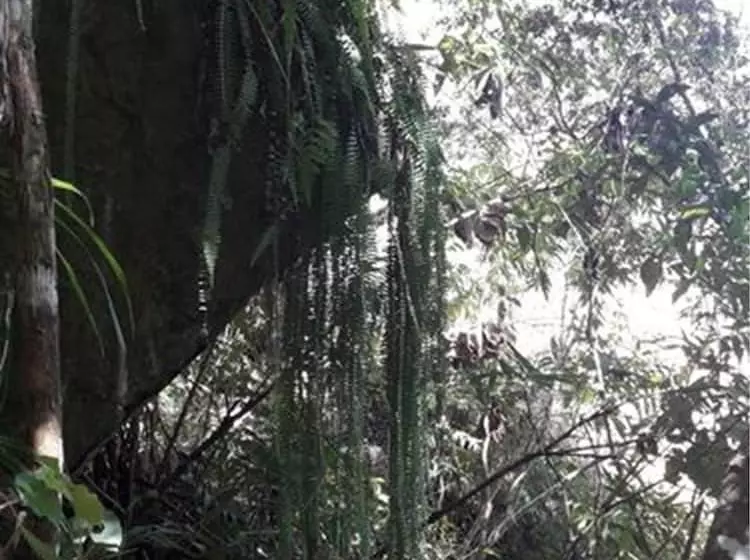 هتل Eco Hacienda Roman