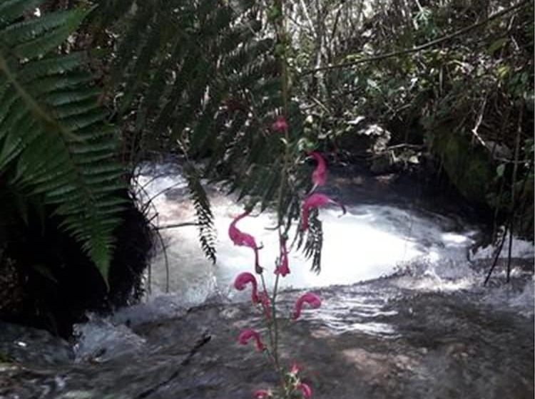 فندق Eco Hacienda Roman
